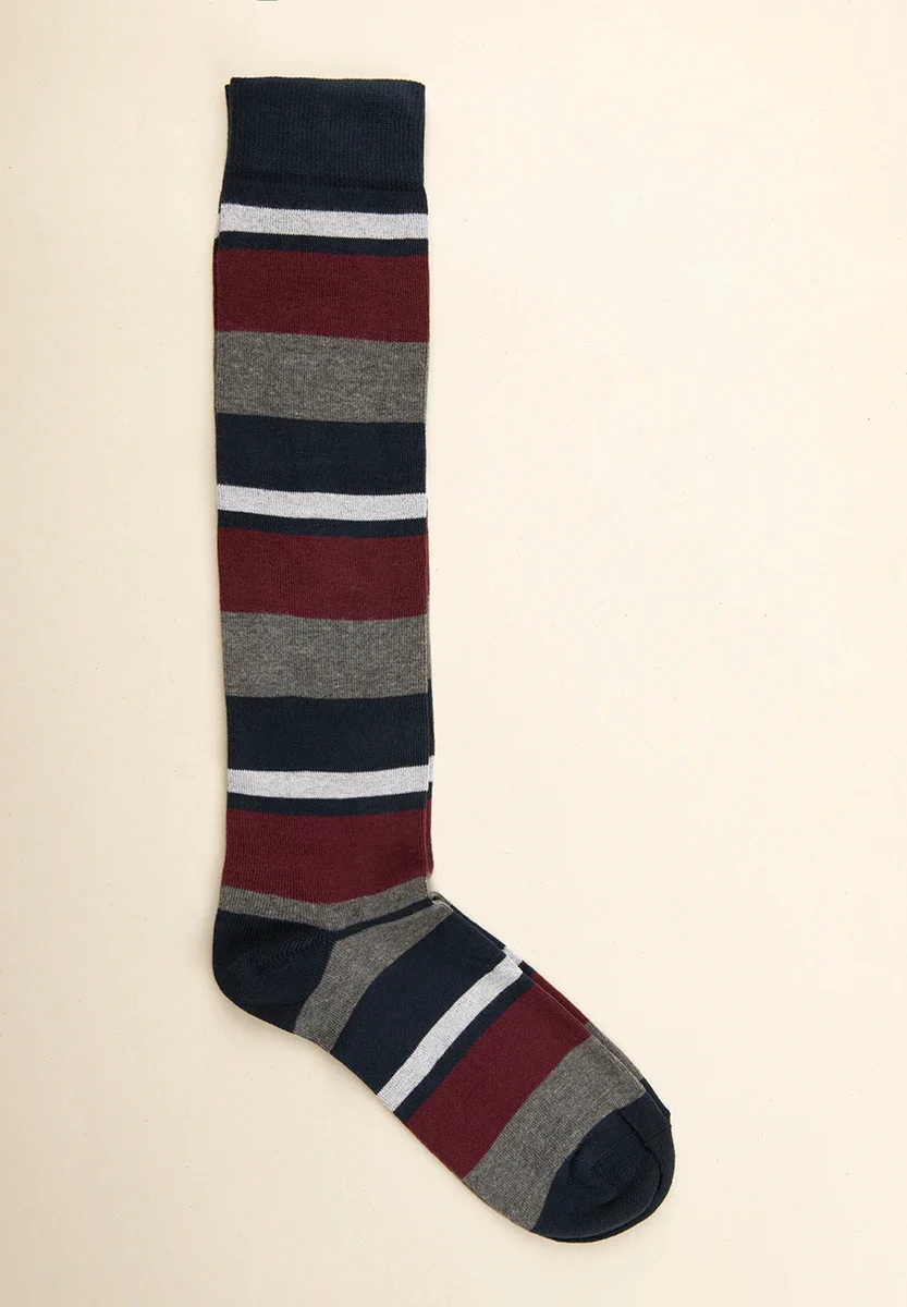 Calza blu bordeaux rigata cotone stretch