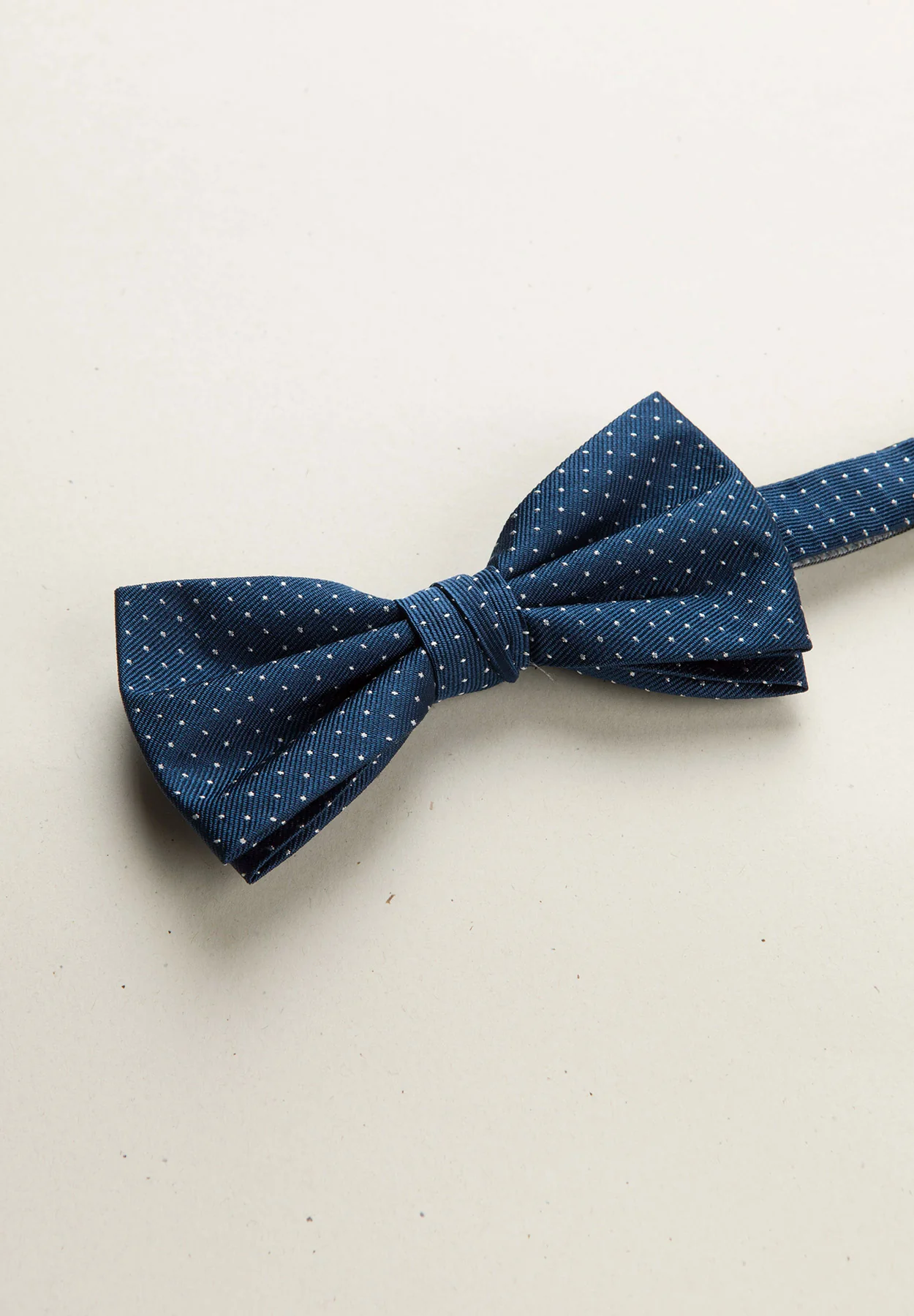 Papillon blu micro pois seta